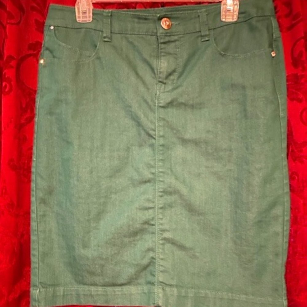 Style & Co Green Size 6 Skirt